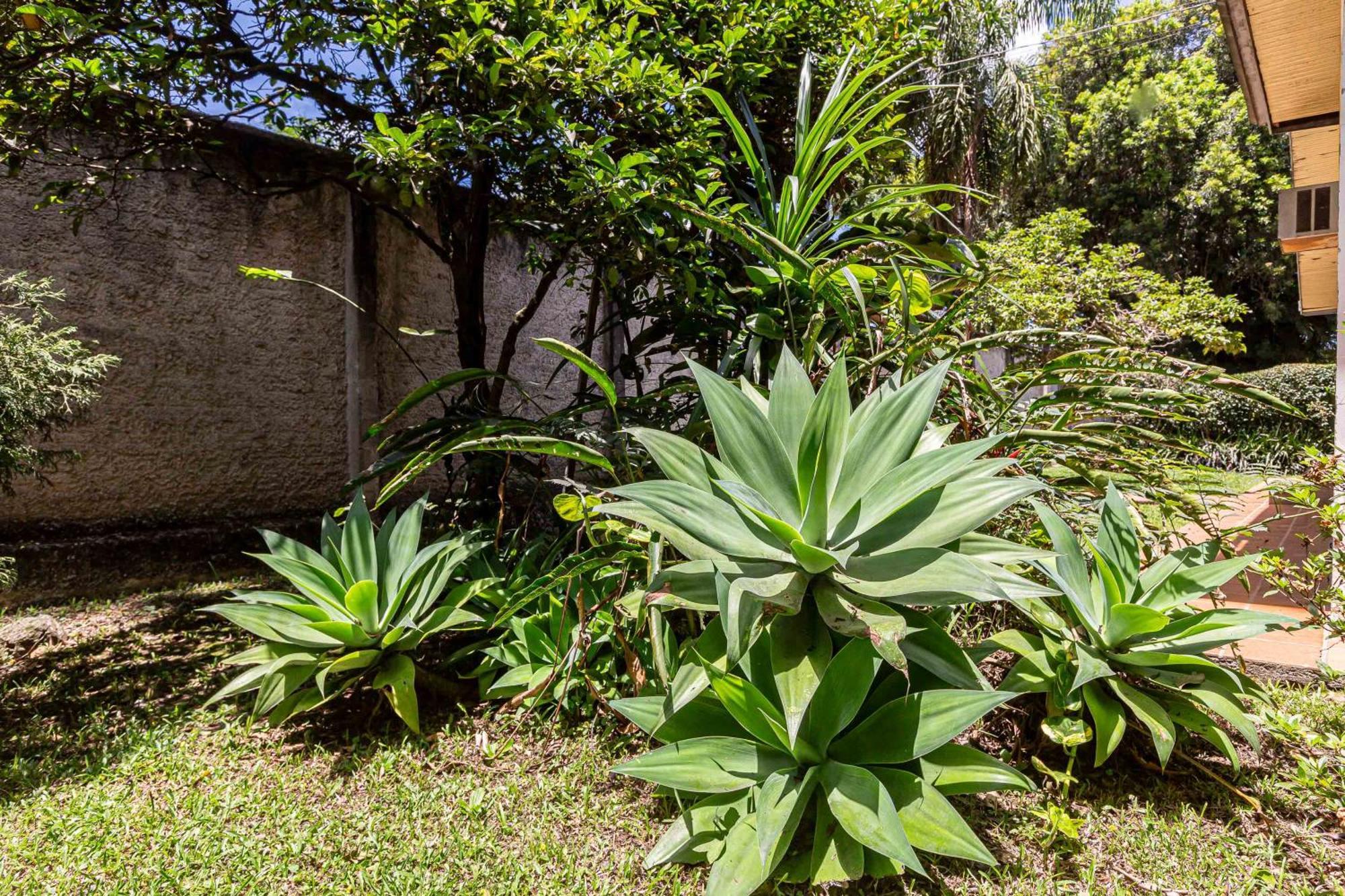 Memora Guesthouse Curitiba - Quartos Em Casa Proximo Ao Parque Bacacheri Eksteriør bilde